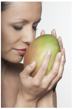 African Mango Reviews African Mango Reviews